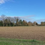 Field views, Pebmarsh